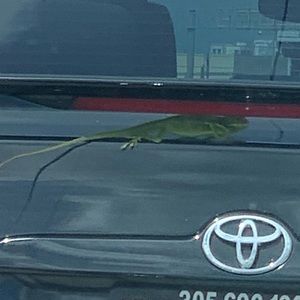 Finding friends in unique places